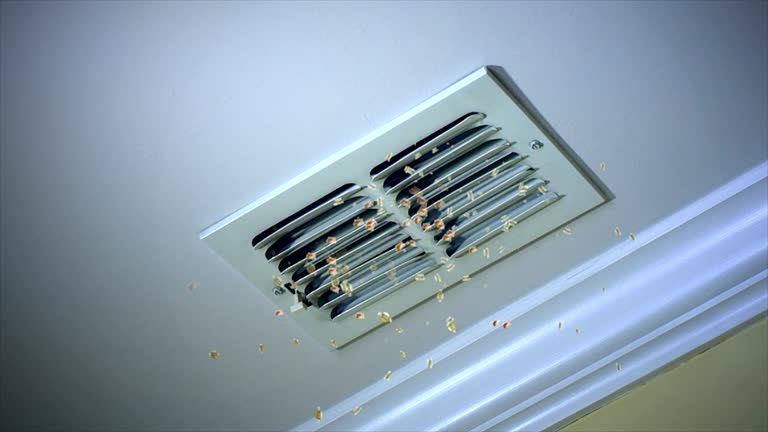 Ductwork Cleaning Services in Centreville, AL