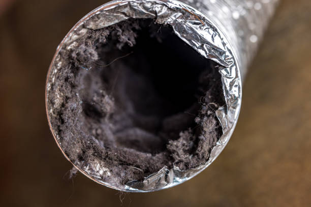 Best Professional Duct Cleaning Services  in Centreville, AL